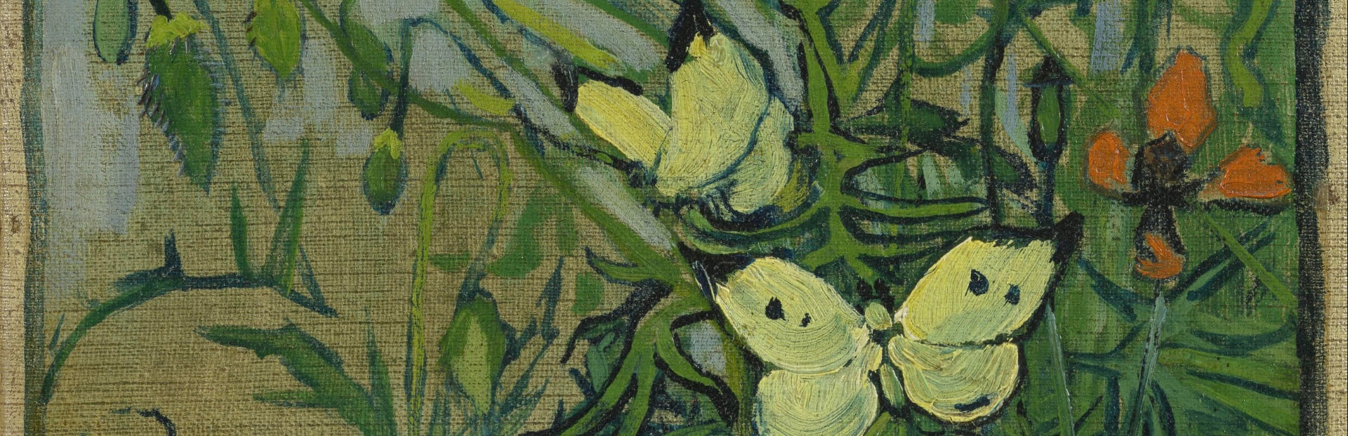 Van Gogh's Butterflies and Poppies — two pale butterflies among green grasses